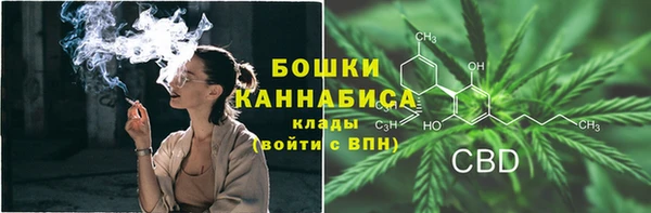 ECSTASY Кодинск