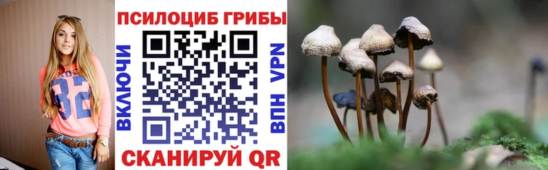 Галлюциногенные грибы ЛСД  Черепаново 