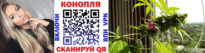 Бошки Шишки THC 21%  купить наркоту  Черепаново 